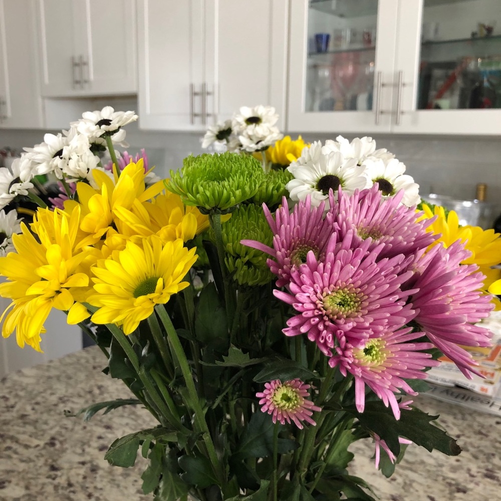 Meet your Posher, Stefanie